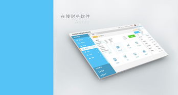 web在线财务产品
