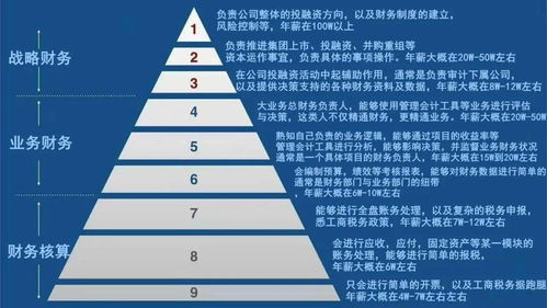 财务行业的金字塔,看看你处在哪个阶层