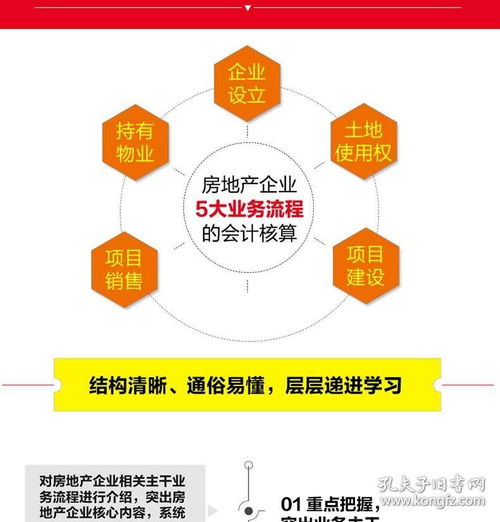 2020新版 房地产会计真账实操全流程演练 第2版 建筑会计基础操作实务实操大全 企业准则公司房产会计 做账财务账务管理入门书籍