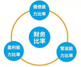 财务比率分析入门课 一 丨如何评判上市公司的盈利能力