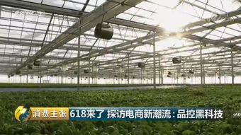品控黑科技 央视《消费主张》探访京东植物工厂的财务智慧