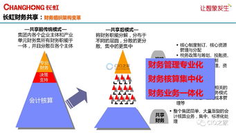 长虹财务共享服务中心 信息化建设的创新与实践之路